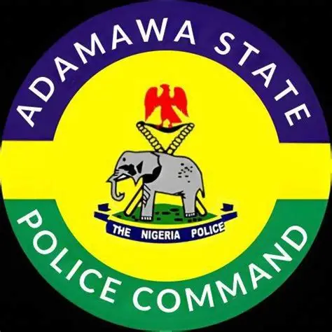 Police Arrest Two Suspects Over Phone Scam in Adamawa