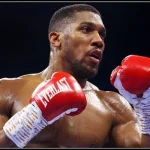 Joshua Says Boxing Is a Serious Profession, Not Entertainment
