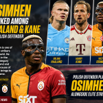 Osimhen Earns Elite Status as Polish Defender Places Him Alongside Haaland and Kane