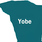 Yobe Govt Approves ₦73.3bn for Roads, Housing, Agriculture and Empowerment Projects