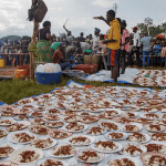 ADF Terrorists Resort to Mass Kidnapping for Money in DRC