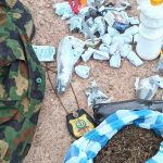 Adamawa Police Arrest 29 Suspects, Recover Drugs in Raid on Criminal Hideouts