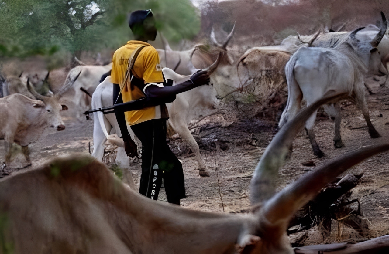 At Least 49 Killed in Cattle Raid in South Sudan