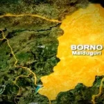 Several ISWAP Terrorists Killed, Soldiers Injured in Borno Attack