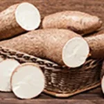 Cassava Waste-to-Energy Could Help Tackle Nigeria’s Power Crisis, Experts Say