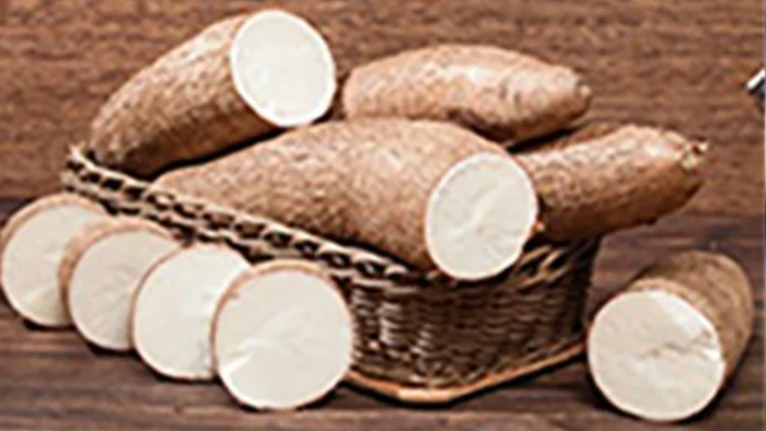 Cassava Waste-to-Energy Could Help Tackle Nigeria’s Power Crisis, Experts Say