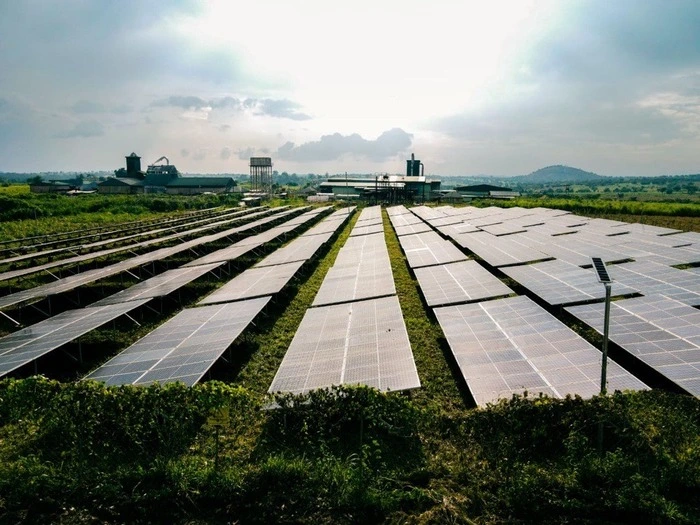 Financial Institutions Urged to Build Managed Power Networks to Cut Energy Volatility