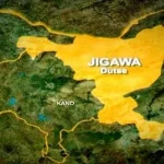 Police Arrest 11 Cattle Rustlers, Recover 40 Stolen Animals in Jigawa