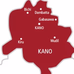 Kano Records 32 Diphtheria Cases in 2026, Health Centre Clarifies Death Reports