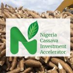 Cassava Processors Struggle to Find Buyers for 60% of Their Output, Report Finds