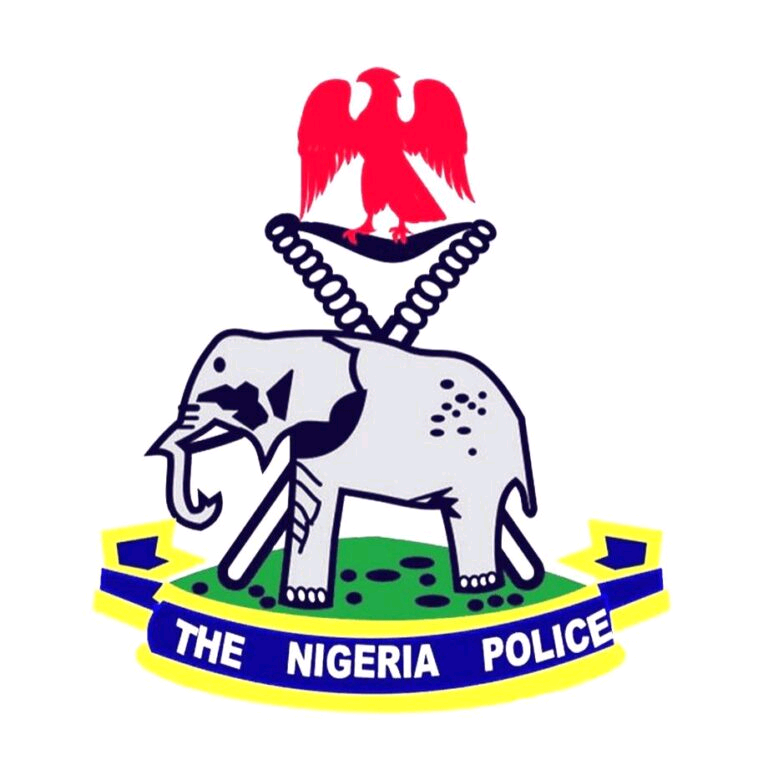 Two in Police Net After Fatal Kano Wedding Shooting