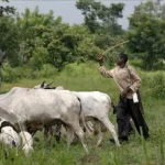 Abeokuta North Strengthens Grazing Regulations, Accelerates Grassroots Development