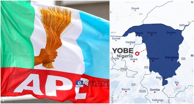 APC Wins All 17 Chairmanship Seats in Yobe Local Government Elections