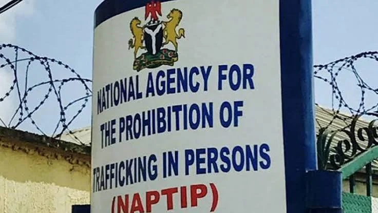 Criminal Groups Pose as NGOs to Traffic Children, NAPTIP Warns