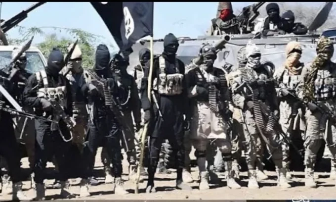 17 ISWAP-linked persons surrender to troops amid factional clashes, hardship in Borno