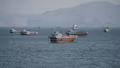 Oil Prices Rise as Middle East Shipping Attacks Deepen Supply Concerns